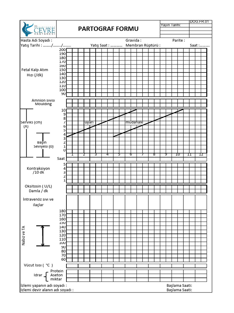 Dogfr01 Partograf Formu - 20170403013922 | PDF