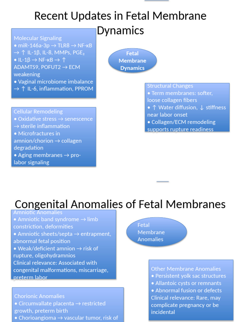 Recent Updates in Fetal Membrane Dynamics | PDF