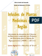 Livro Digital II