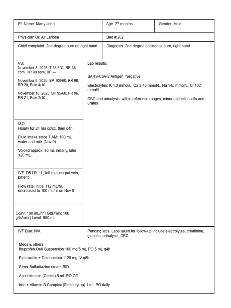 2nd-Degree Burn Treatment Summary | PDF