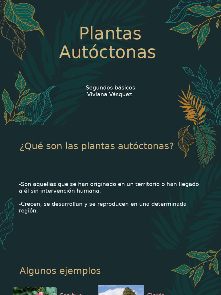 Guía de Plantas Autóctonas | PDF