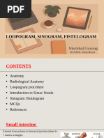 Distal Loopogram Procedure Overview | PDF