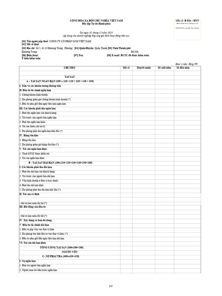 BCDKT 2022-2023 CTCP G5M VIỆT NAM (1) | PDF