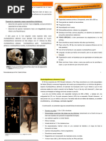 Características del Australopithecus afarensis | PDF