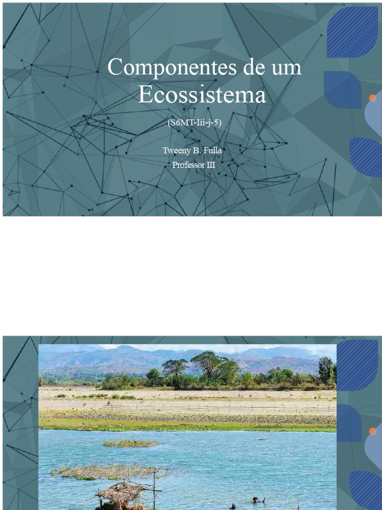 Componentes e Fatores de Ecossistemas | PDF | Ecossistema | Natureza