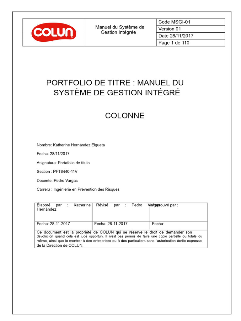Manuel de Gestion Intégrée MSGI-01 | PDF | Environnement naturel | Sécurité