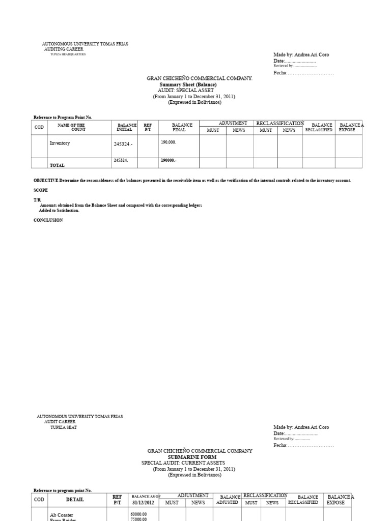 Summary Form Pdf Audit Financial Accounting