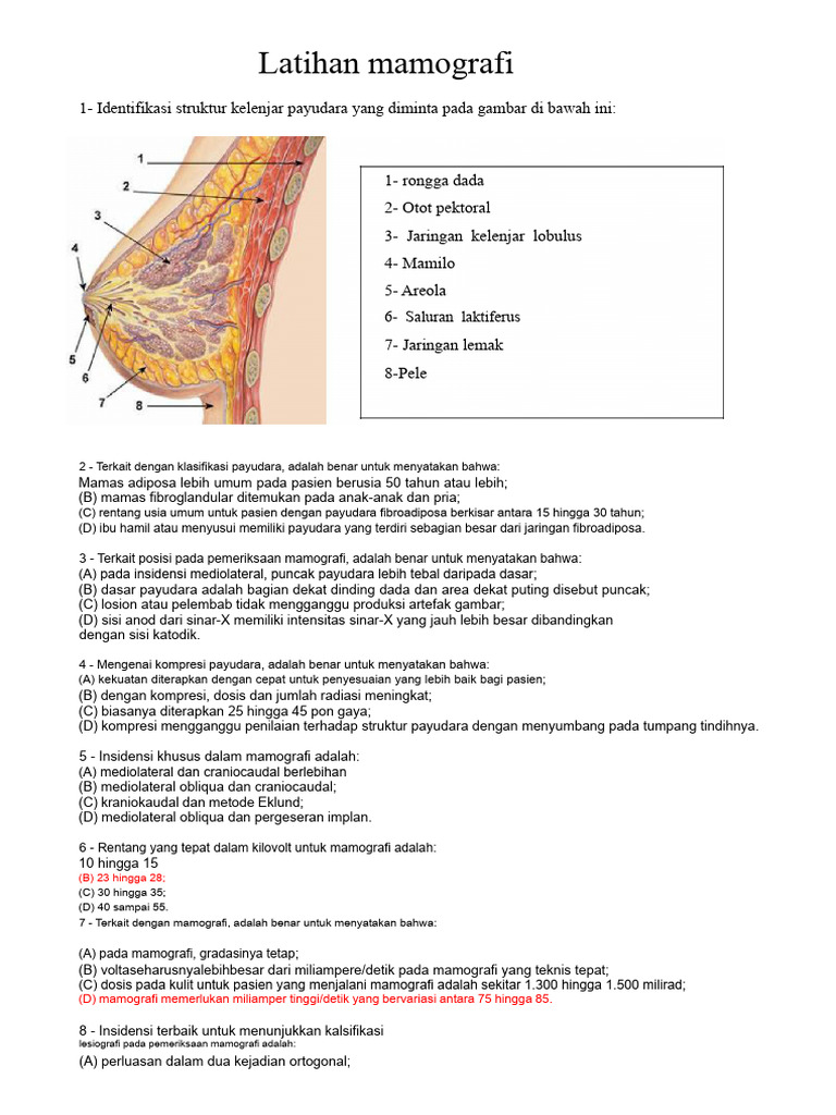 Panduan Lengkap Latihan Mamografi | PDF