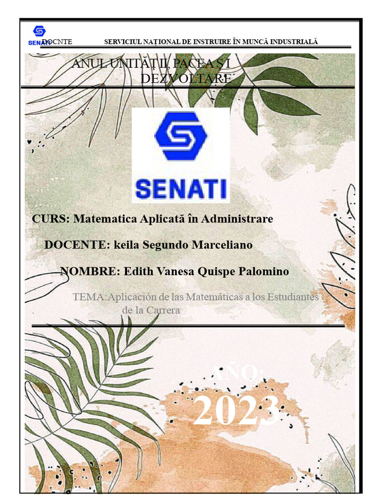 Proiectul Final Mateee | PDF