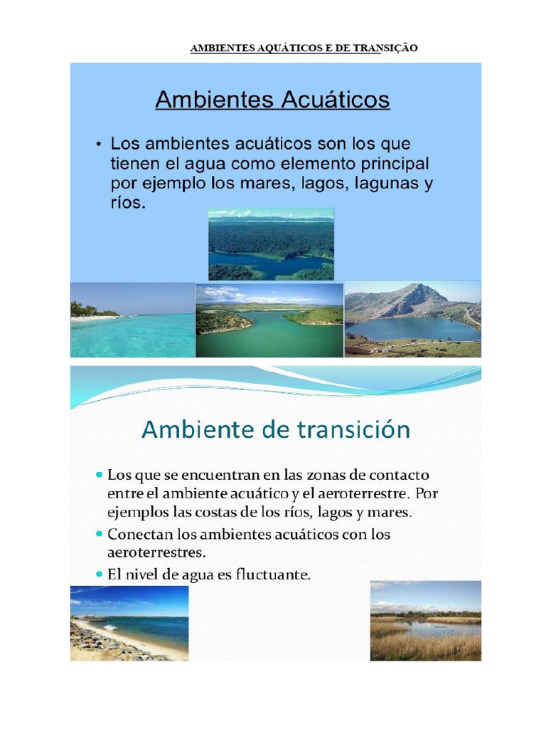 Imagens de Ambientes Aquáticos | PDF
