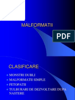 2 Malformatii