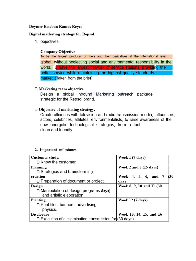 Repsol Digital Marketing Strategy Guide | PDF | Digital Marketing ...