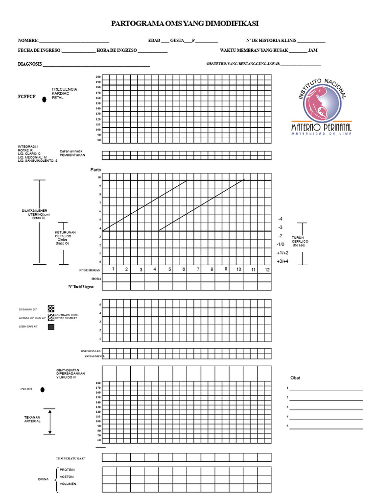 Partograma-OMS INMP | PDF