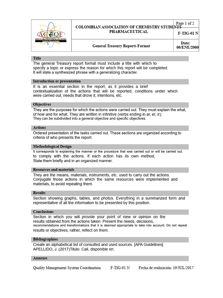 General Treasury Report Guidelines | PDF