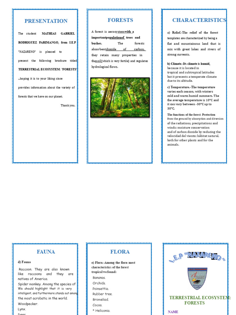 Overview of Forest Ecosystems | PDF | Forests | Trees