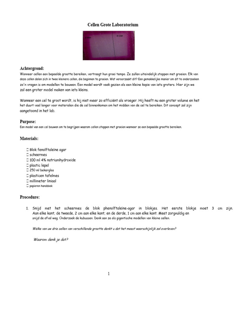 Celgrootte Lab Agar | PDF