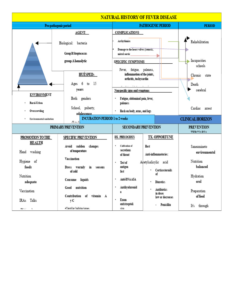 Natural History of Fever Disease Overview | PDF | Diseases And ...