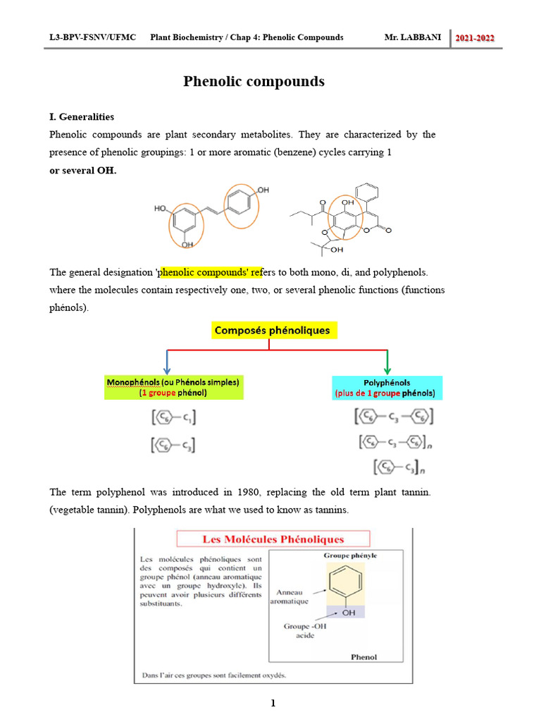 Overview of Phenolic Compounds in Plants | PDF | Polyphenol | Phenolic ...
