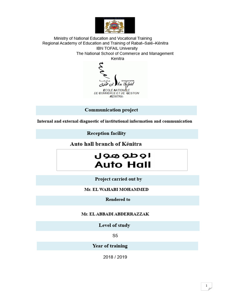 Automotive Sector Communication Diagnosis | PDF | Renault | Morocco