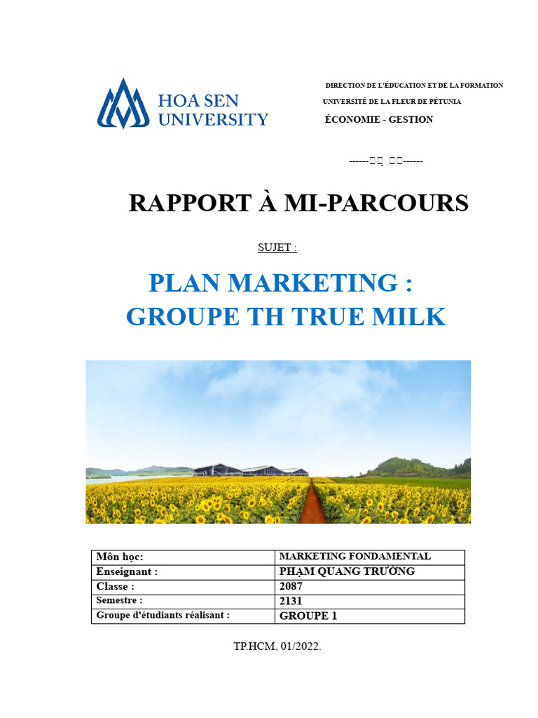 Plan Marketing pour TH True Milk | PDF | Commercialisation | Bovins ...