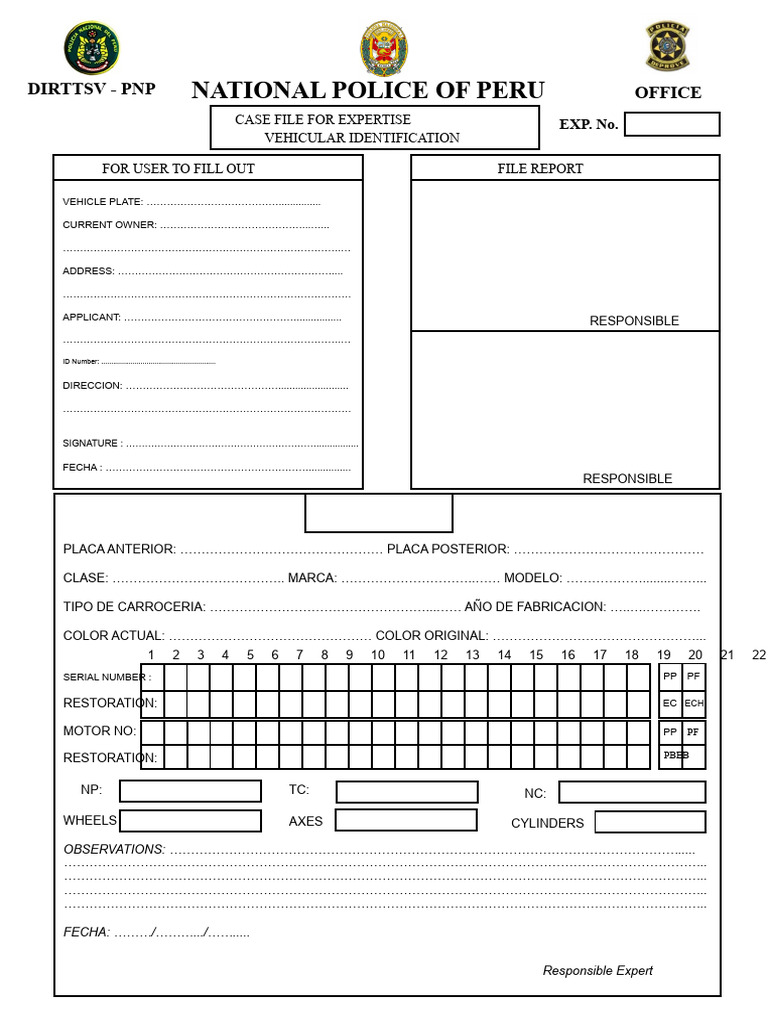File Sheet For Expert Report | PDF