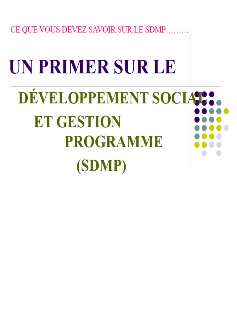 Guide sur le SDMP et son application | PDF | Exploitation minière