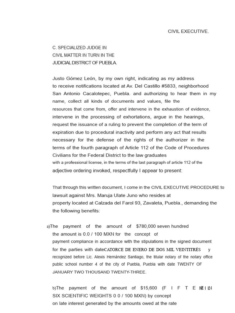Civil Executive Lawsuit for Debt Recovery | PDF | Lawsuit | Interest