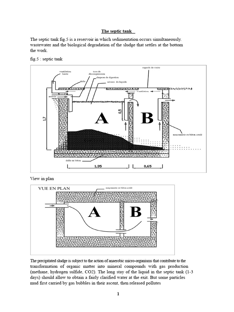The Septic Tank | PDF | Septic Tank | Anaerobic Digestion