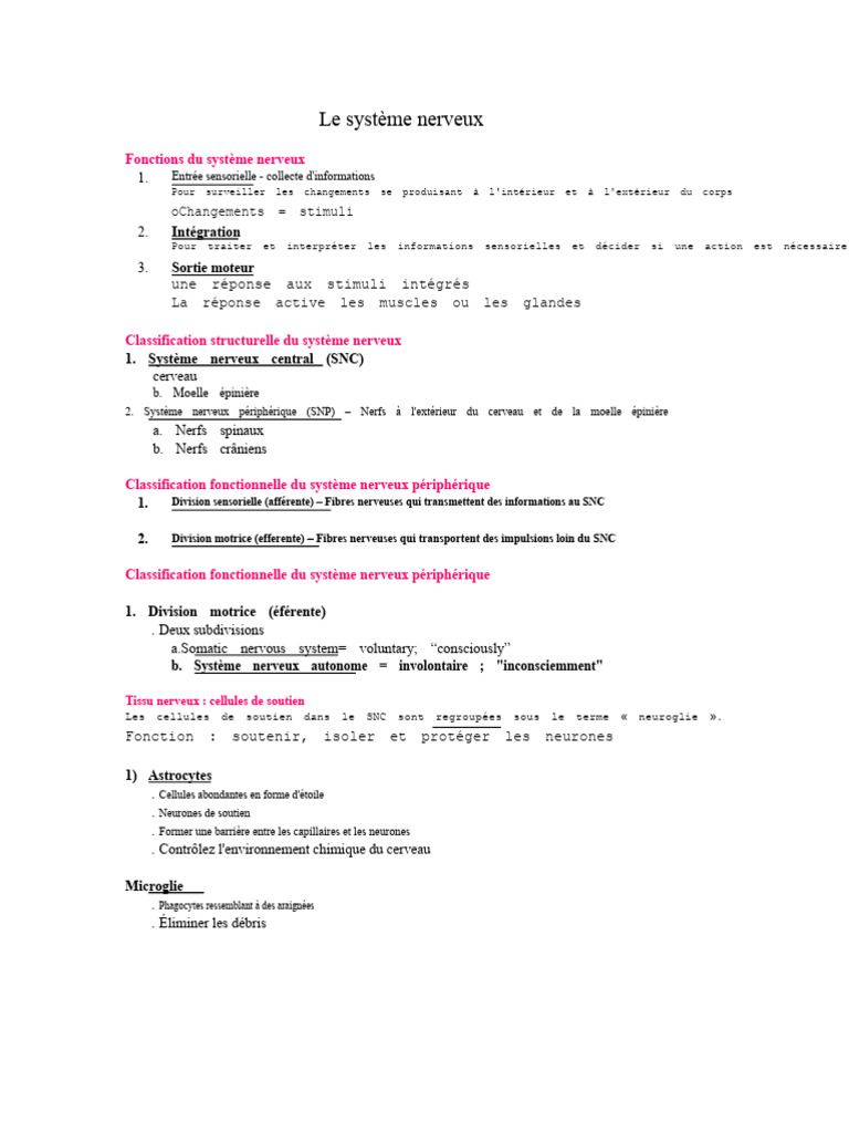 Comprendre le Système Nerveux Humain | PDF | Nerf | Système nerveux