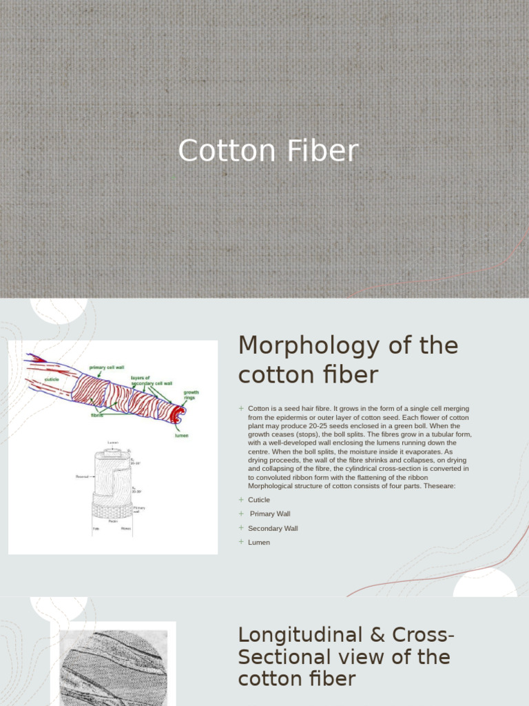 Cotton Fiber Morphology Explained | PDF | Cellulose | Polymers