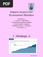 Impacto Da Pesca Nos Ecossistemas Marinhos