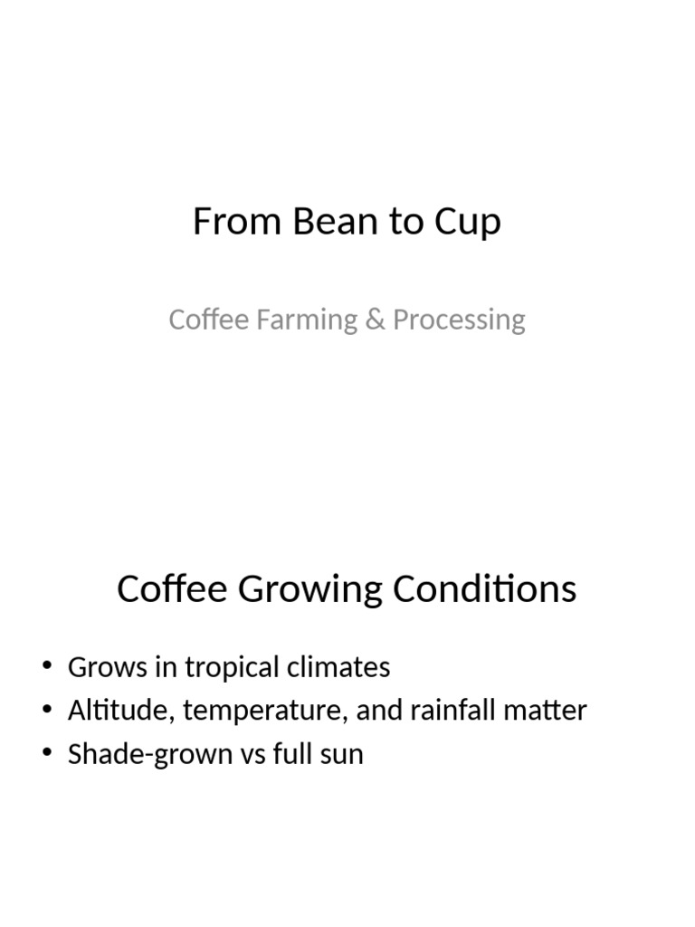 Coffee Farming and Processing Guide | PDF