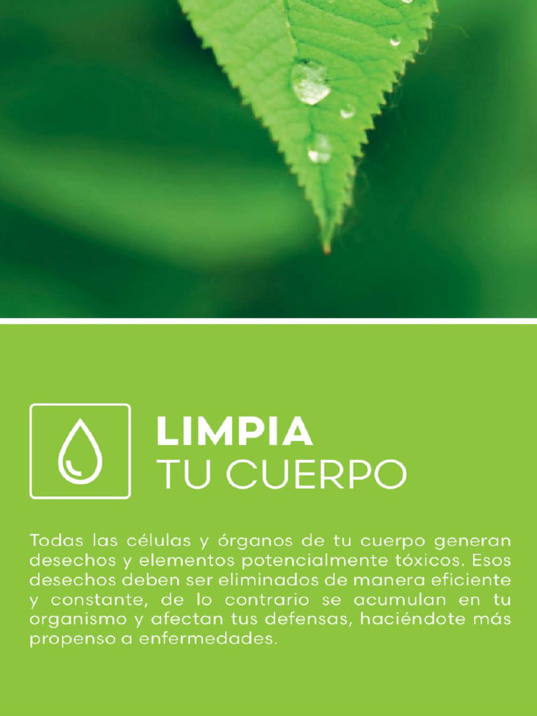 Catalogo Fuxion Pdf Nutrición Dieta Y Nutrición