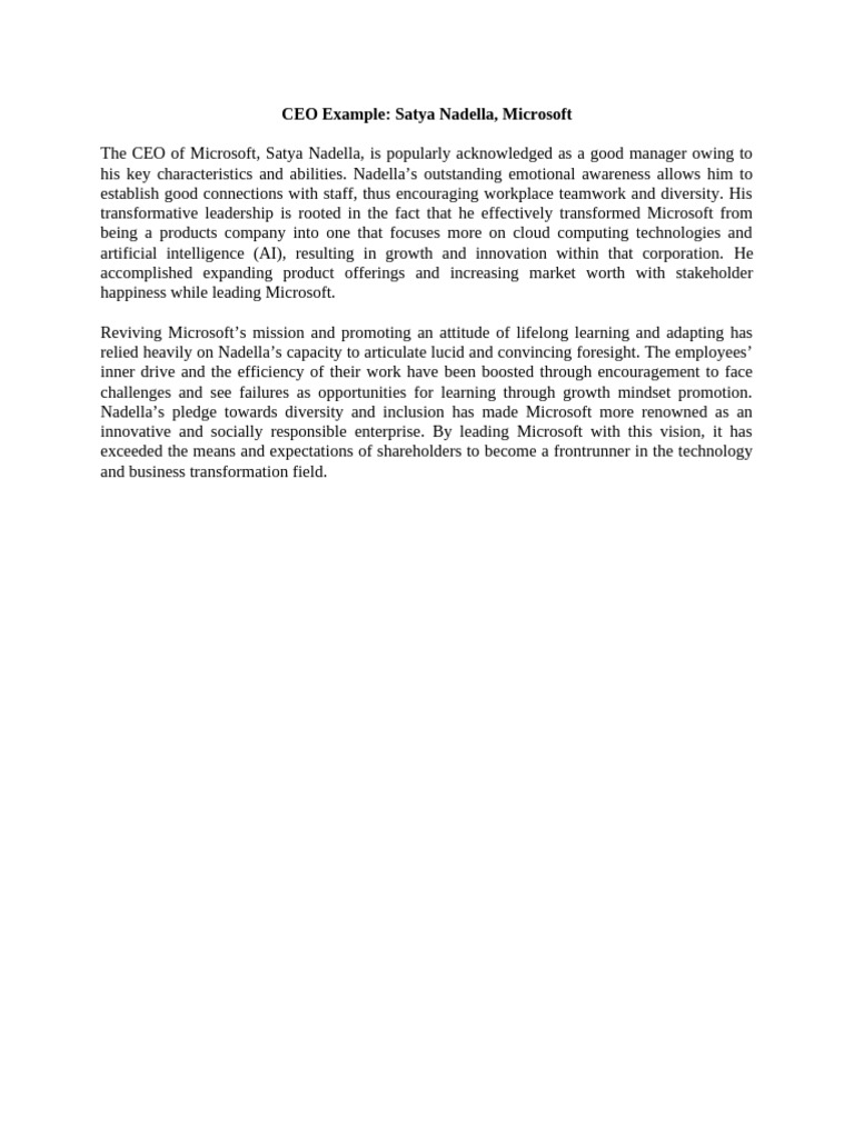 CEO Example | PDF