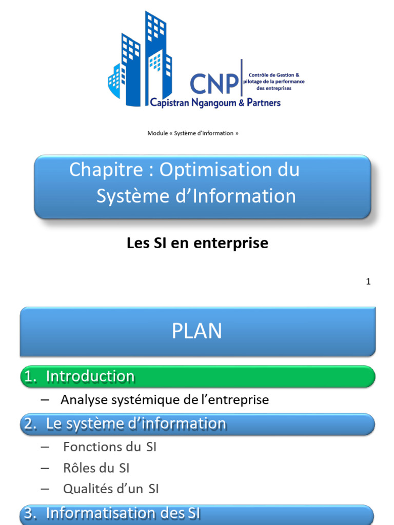 Optimisation des Systèmes d'Information | PDF | Progiciel de gestion ...