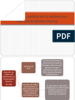 rt-pcr (1)