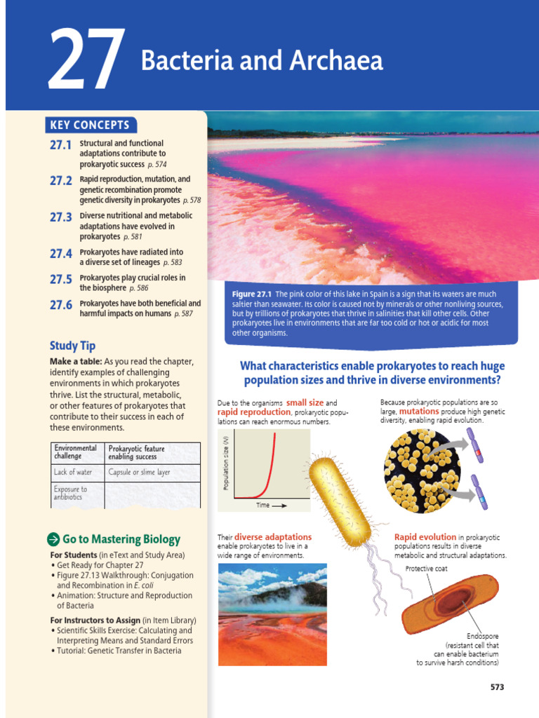 Prokaryotic Adaptations and Diversity | PDF | Bacteria | Cell (Biology)