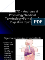 AMA 172 Power Point