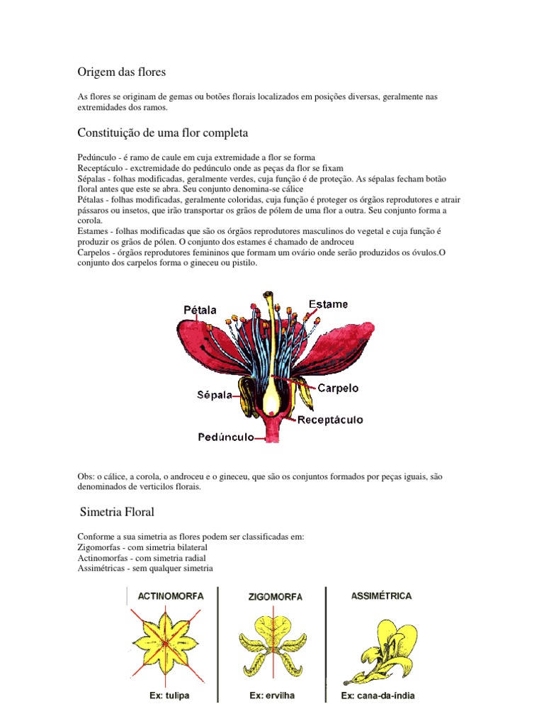 A estrutura e formação das flores e seus órgãos reprodutores | PDF ...