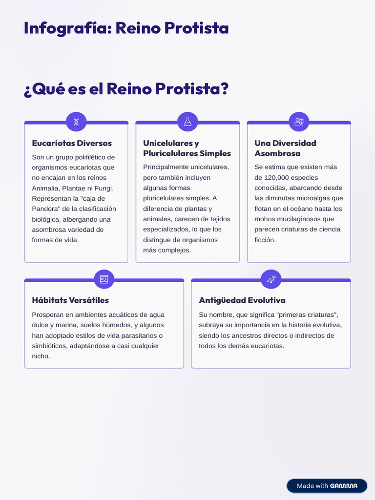 Infografia Reino Protista Que Es El Reino Protista | PDF | Algas ...