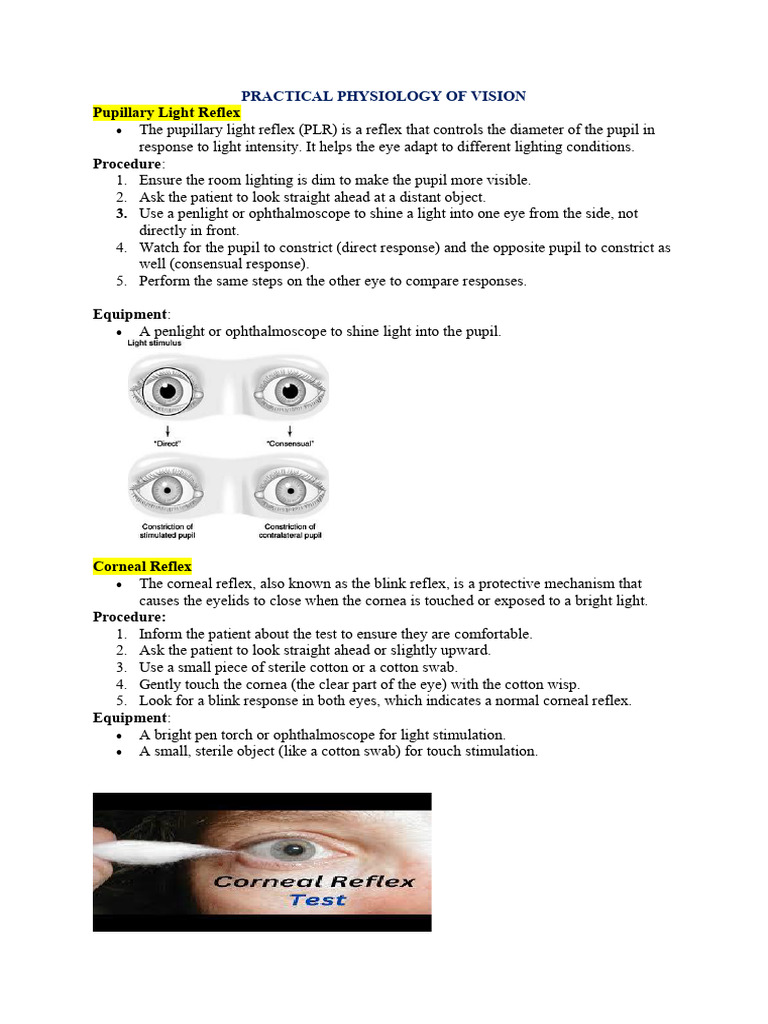 Vision Physiology: Reflexes & Tests | PDF | Visual Acuity | Senses