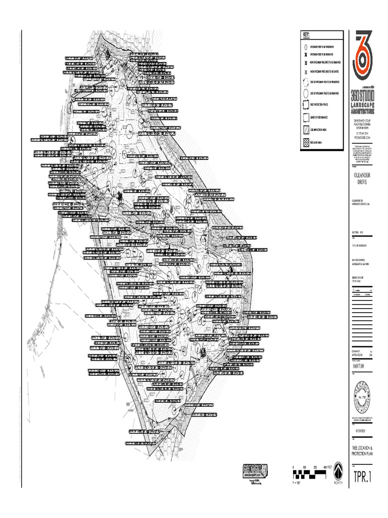 Tree Protection Plan for Oleander Drive | PDF | Trees