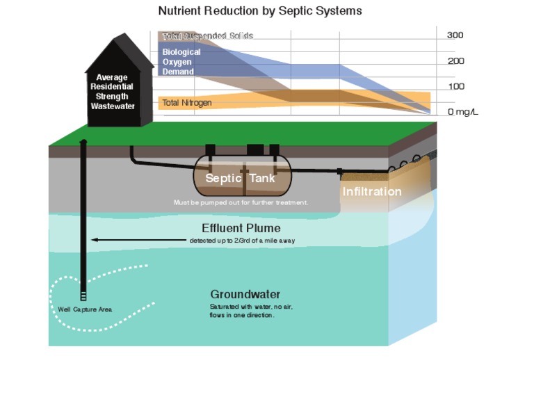 Septic Systems and Nutrient Reduction | PDF | Home & Garden | Science ...