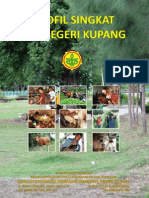 Profil Singkat SPPN KPG