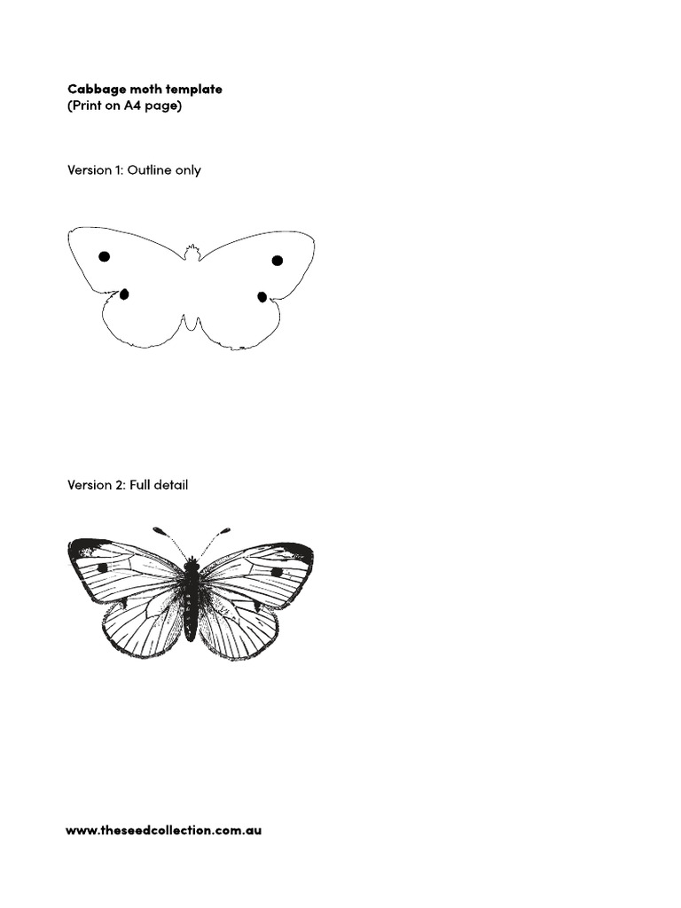 Cabbage Moth Decoy | PDF