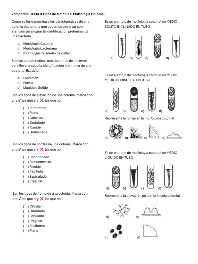 Tarea Tema 3 | PDF