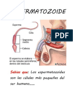 4 Potencialidades