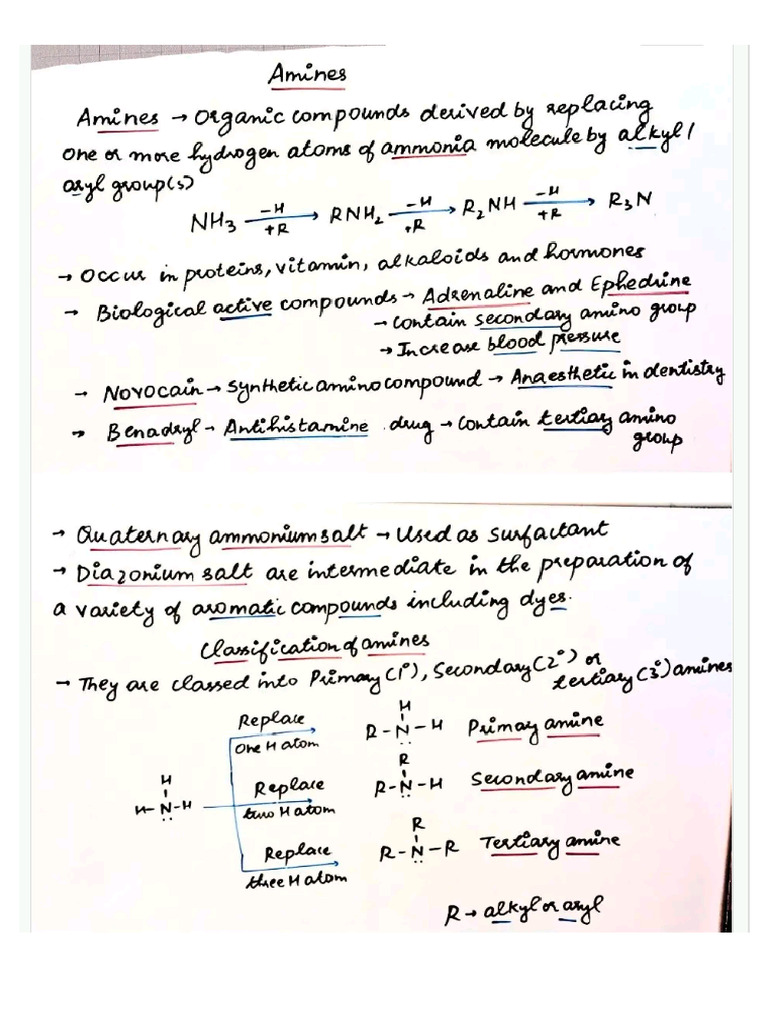 Amines Notes | PDF