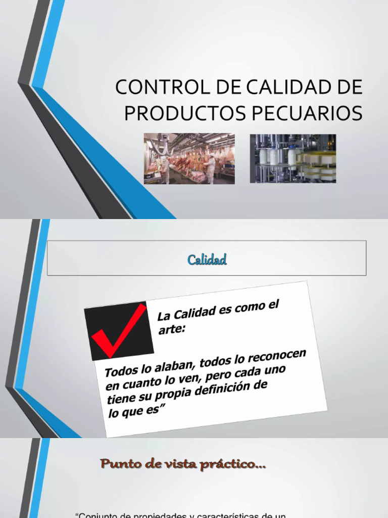 Control de Calidad en Agropecuaria | PDF | Calidad (comercial) | Business