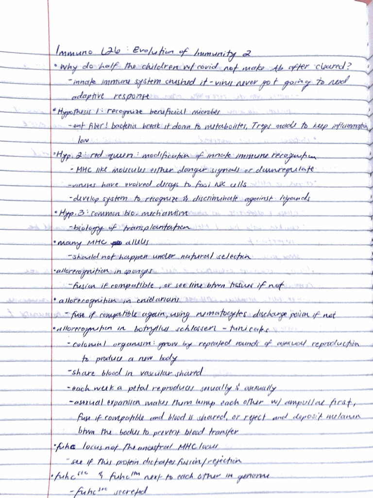 26 Notes | PDF